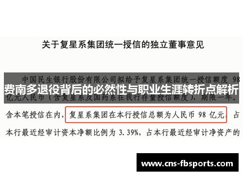 费南多退役背后的必然性与职业生涯转折点解析