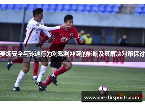 赛场安全与球迷行为对裁判冲突的影响及其解决对策探讨