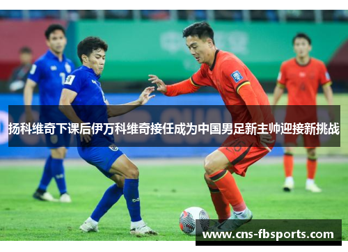 扬科维奇下课后伊万科维奇接任成为中国男足新主帅迎接新挑战